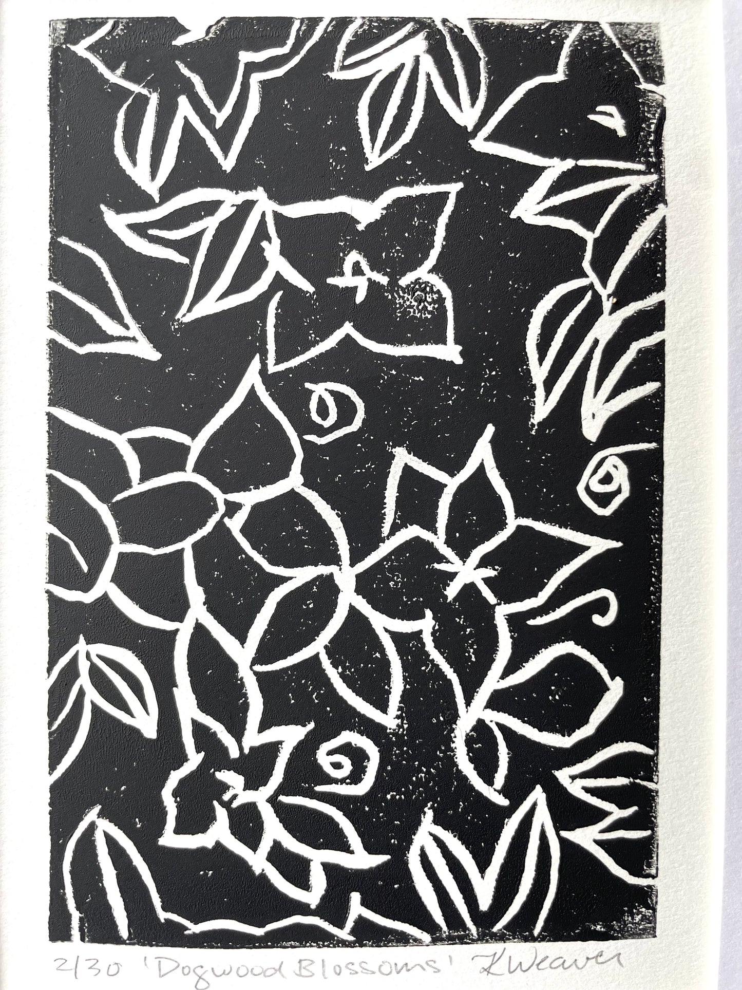 Dogwood Blossoms