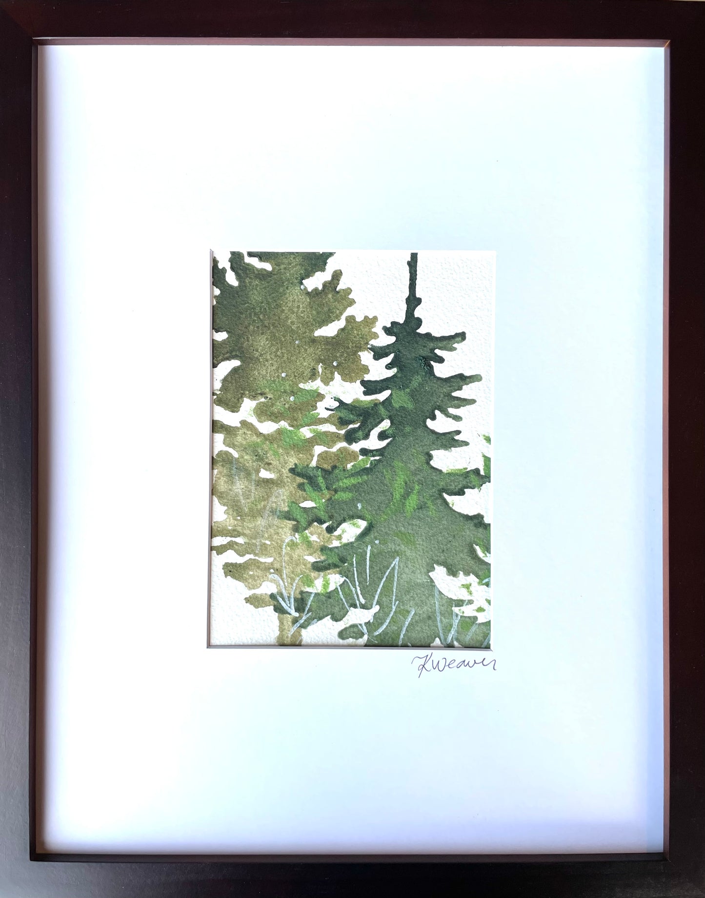 NEW! Deep Forest Evergreens